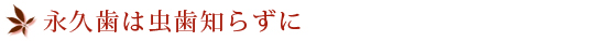 永久歯は虫歯知らずに
