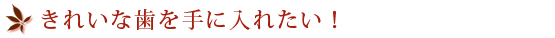 きれいな歯を手に入れたい！